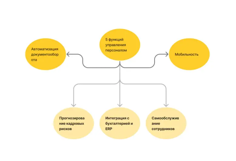Топ-5 функций HRM, которые нужны бизнесу